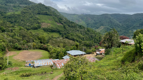 Peru Finca Artemira - Family Lot