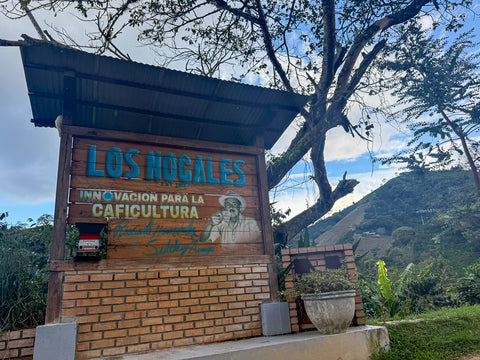 Colombia Nogales Decaf