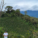 Peru Finca Artemira - Family Lot