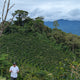 Peru Finca Artemira - Family Lot