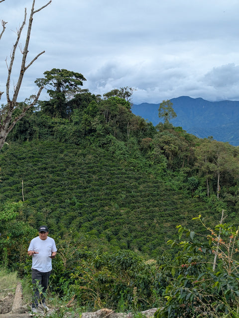 Peru Finca Artemira - Family Lot