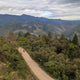 Peru Finca Artemira - Family Lot