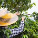Colombia El Eden | Ground or Beans | Bean Coffee | Coffee Subscription Online
